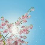 Safely Bask in the Summer Sunshine with These 4 Easy Techniques To Ensure Outdoor Relaxation