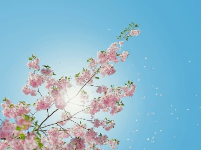 Safely Bask in the Summer Sunshine with These 4 Easy Techniques To Ensure Outdoor Relaxation