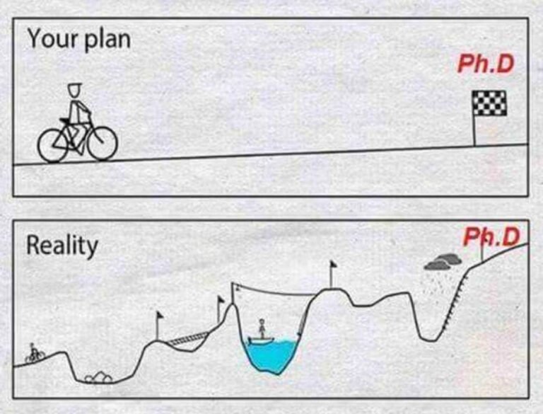 Responsibility: February 2025