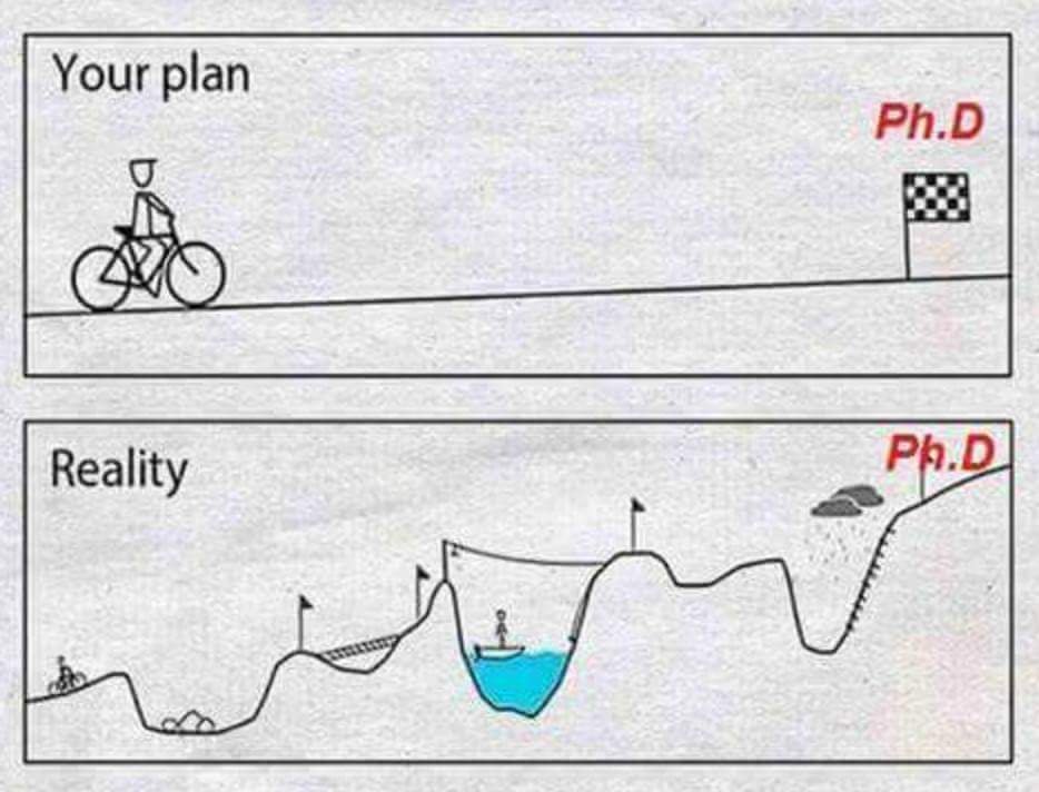 Responsibility: February 2025