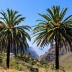 Tenerife: A 24-Hour Island Experience
