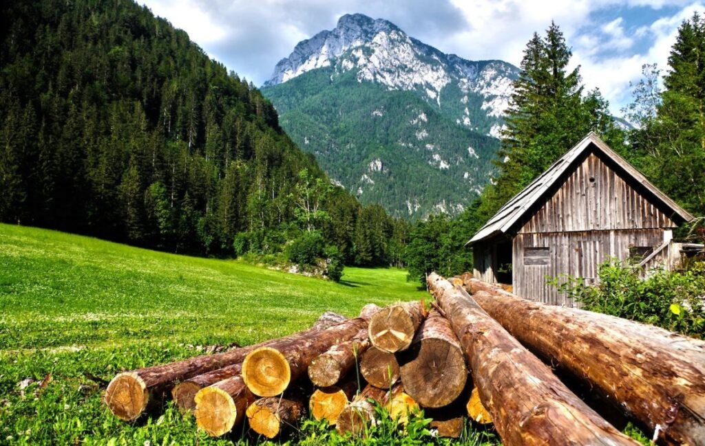 7 Best Vacation Ideas and Tips to Relieve Stress